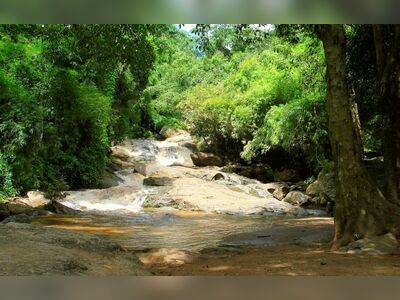 Doi Suthep-Pui National Park