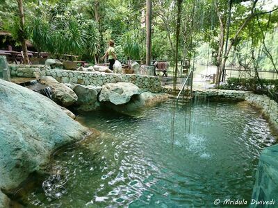 Rock Valley Hot Spring & Fish Spa