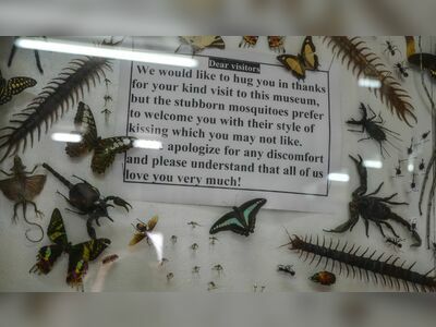 Museum of World Insects and Natural Wonders