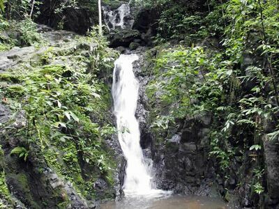 Khao Phra Thaeo National Park