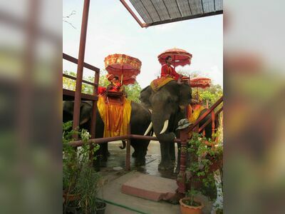 Ayutthaya Elephant Palace & Royal Kraal