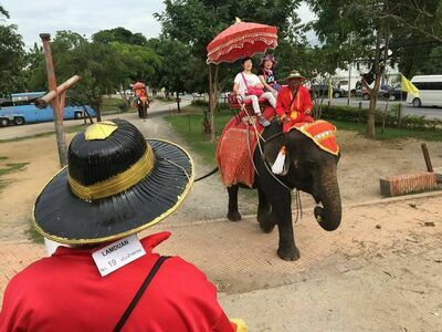 Ayutthaya Elephant Palace & Royal Kraal