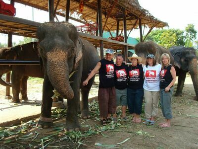 Elephantstay