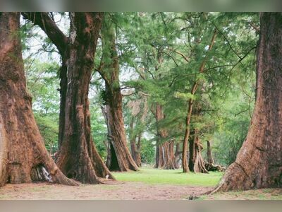 Sirinat National Park