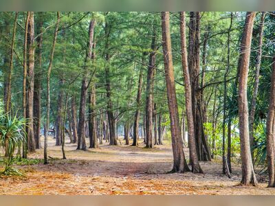 Khao Lampi - Thai Mueang National Park