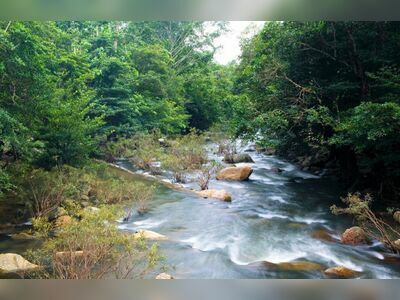 Mae Takhrai National Park