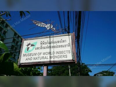 Museum of World Insects and Natural Wonders