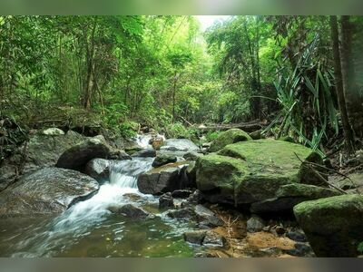 Khao Phra Thaeo National Park