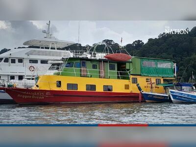 Diving and Night Snorkeling Trips