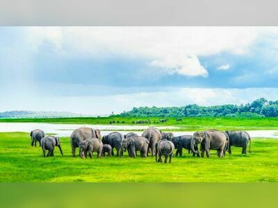 Sri Lanna National Park