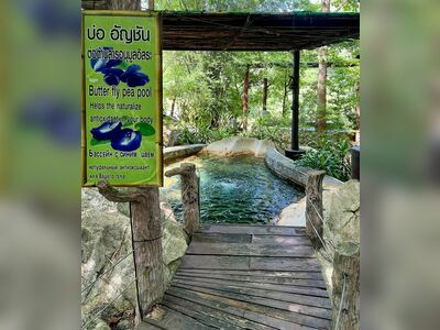 Rock Valley Hot Spring & Fish Spa