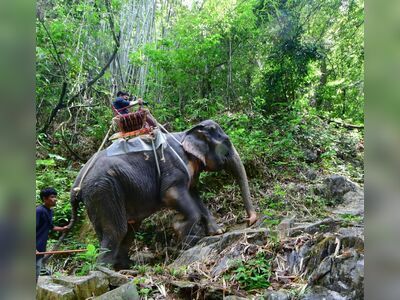 Khao Sok National Park