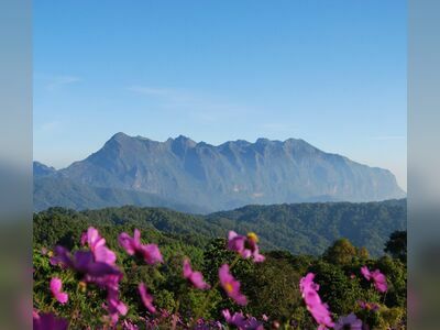 Doi Luang Chiang Dao National Park