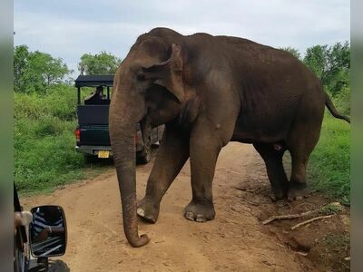Sri Lanna National Park