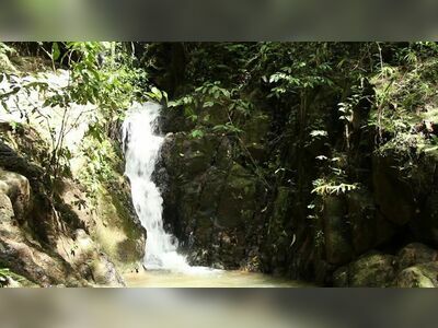 Khao Phra Thaeo National Park