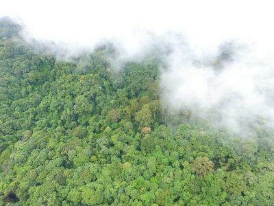Doi Suthep-Pui National Park