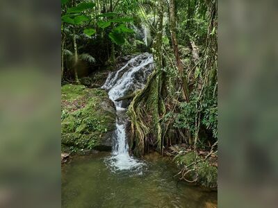 Khao Phra Thaeo National Park