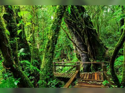 Doi Inthanon National Park
