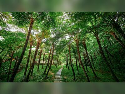 Doi Inthanon National Park