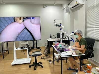 Dental Room Krabi