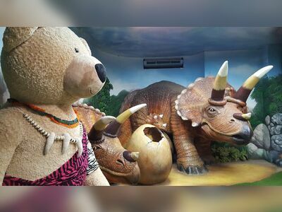 Teddy Bear Museum