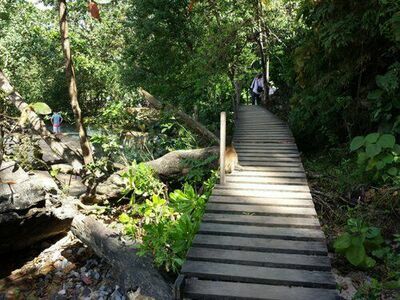Monkey Trail, Krabi
