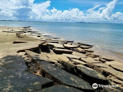 Fossil Shell Beach