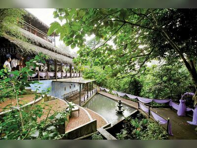 Tamarind Springs Forest Spa