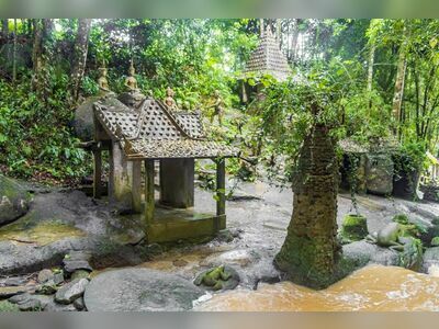 Tarnim Magic Garden