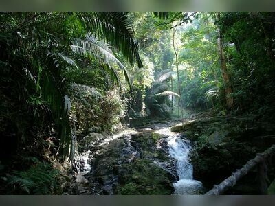 Khao Phanom Bencha National Park