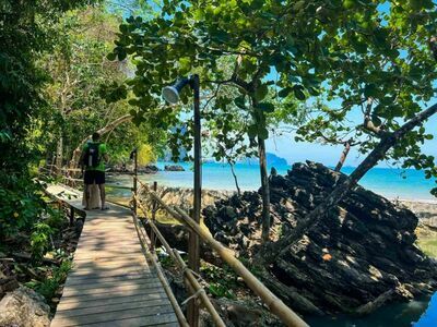 Monkey Trail, Krabi
