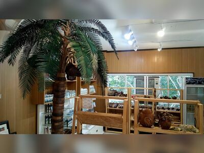 Coconut Museum