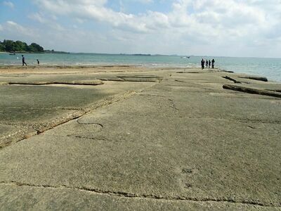Fossil Shell Beach