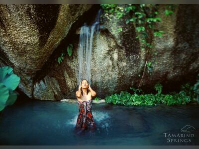 Tamarind Springs Forest Spa