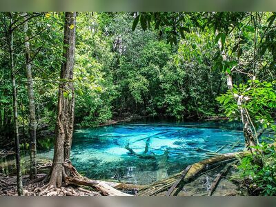 Khao Phanom Bencha National Park