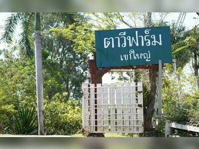 Tawe farm Khaoyai