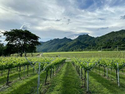 GranMonte Vineyard and Winery