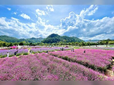 Hokkaido flower park