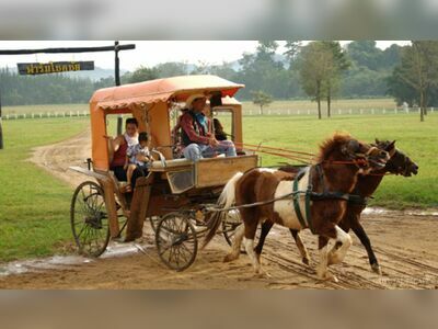 Farm Chokchai