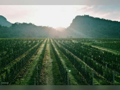 GranMonte Vineyard and Winery