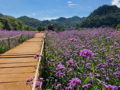 Hokkaido flower park