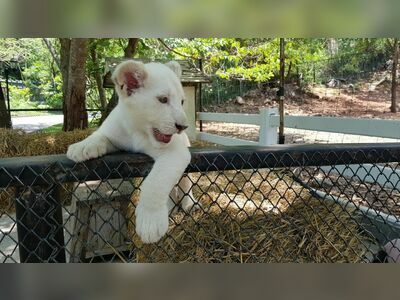 Bonanza Exotic Park