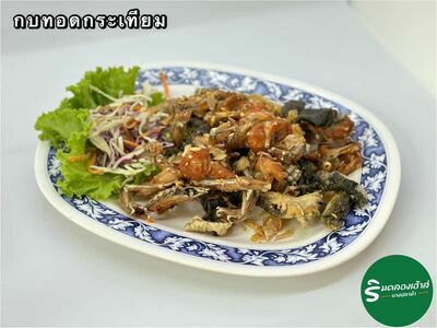 Rim Klong House