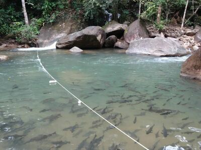 Namtok Phlio National Park