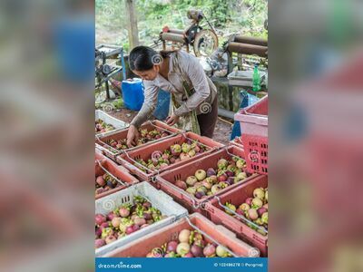 Chanthaburi Fruit Markets