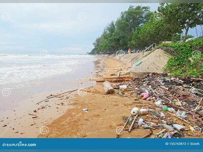 Kung Wiman Beach
