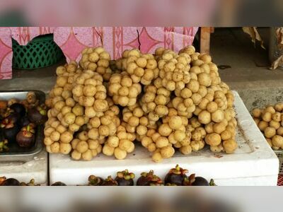 Chanthaburi Fruit Markets