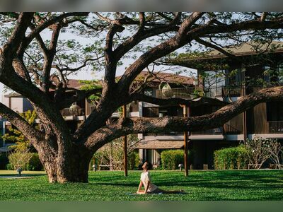 PAÑPURI WELLNESS HARBOR