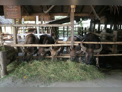 The Thai Farmer Lifestyle and Spirit Learning Center