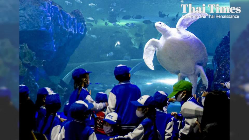 Chiang Mai Zoo's Renovated Aquarium Reopens A Mountain Top Tourist Attraction with Global
